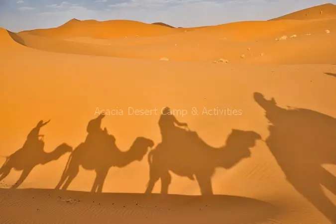 Merzouga camel tours